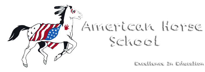 About American Horse School